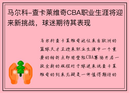 马尔科-查卡莱维奇CBA职业生涯将迎来新挑战，球迷期待其表现